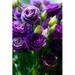 Ebern Designs Many Purple Rose - Wrapped Canvas Photograph Canvas | 12 H x 8 W x 1.25 D in | Wayfair 4C625B83A60B4947A5AD2A04E3E65FCE
