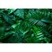 Bay Isle Home™ Tropical Green Monstera & Palms Leaf Background by Thanabodin Jittrong - Wrapped Canvas Photograph Canvas | Wayfair