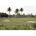 Bay Isle Home™ Golf Course w/ Palm Trees & Bunkers - Wrapped Canvas Photograph Canvas | 8 H x 12 W x 1.25 D in | Wayfair