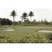 Bay Isle Home™ Golf Course w/ Palm Trees & Bunkers - Wrapped Canvas Photograph Canvas in White | 24 H x 36 W x 1.25 D in | Wayfair