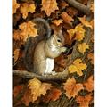 Carolines Treasures Autumn Grey Squirrel by Daphne Baxter Flag Canvas House Size