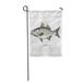 LADDKE Fish Striped Bass Outline Color Vintage White Sea American Atlantic Garden Flag Decorative Flag House Banner 28x40 inch