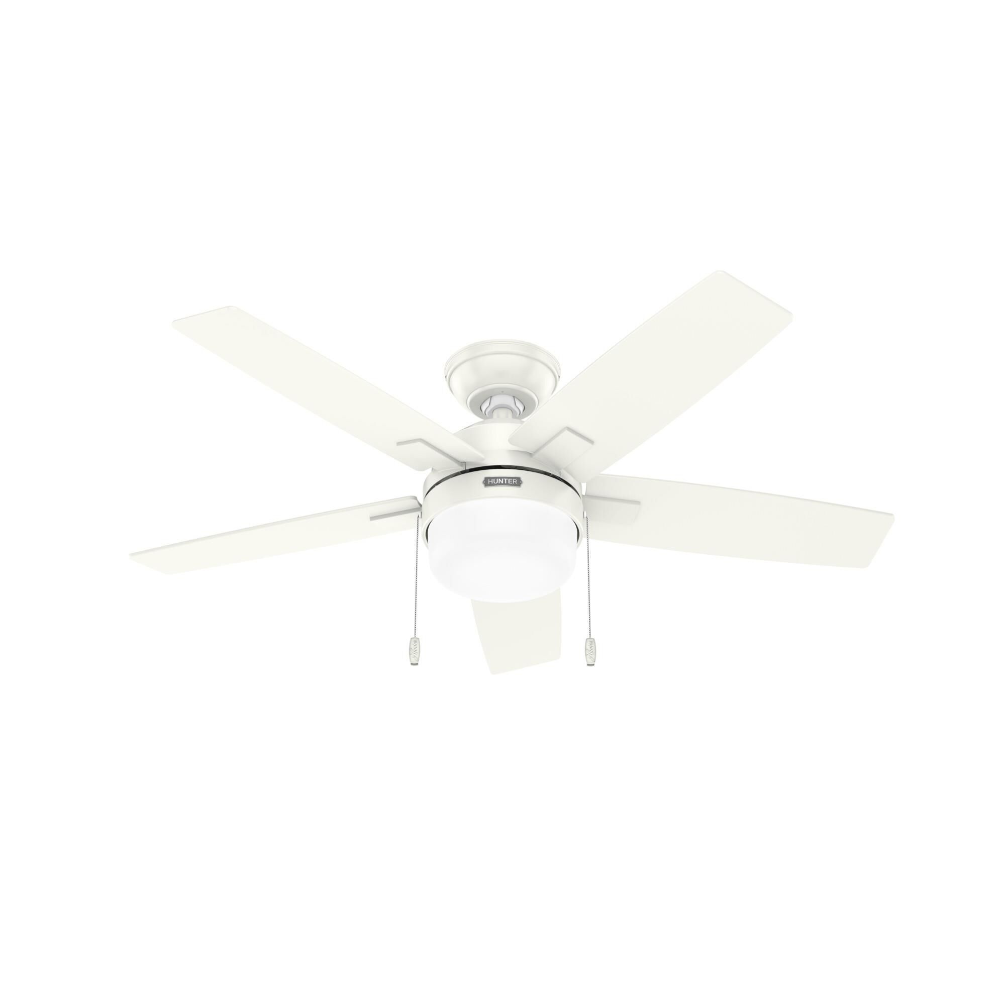 Hunter Fan Anisten 44 Inch Ceiling Fan with Light Kit - 52488