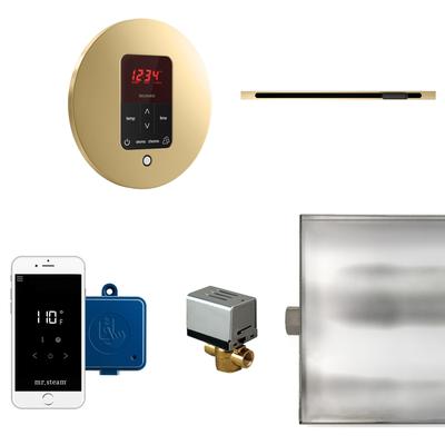 Mr Steam BTLRL1R Butler Linear Steam Generator Control Kit / Package
