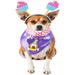 Mickey Mouse Party Pup Pet Accessory, Small/Medium
