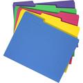 Happon 10 Pack Multicolor Plastic Folders Manila File Folders Plastic Folders for School Home and Work File Folders Plastic Folders Easy File Storage