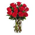 Valentine Story ~ 12 Flowers Delivery Next Day Prime UK Best Gift Is A Fresh Flower Bouquet Suitable for Thank You Birthday Congratulations Get Well Soon - Anniversary and more…