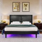 Queen Size PU Leather Upholstered Bed Frame with Lights