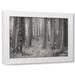 Vitaly Geyman 14x11 White Modern Wood Framed Wall Art Titled - Pine Tree Grove II BandW