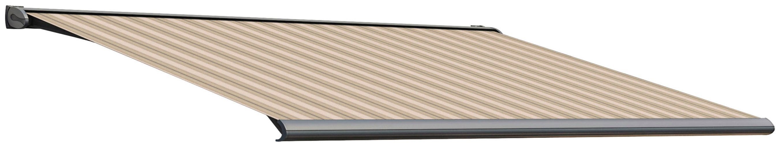 Kassettenmarkise WISMAR "S-Compact", beige (beige, braun), B:550cm H:19cm, Polyacryl, Markisen