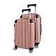 Panana 2PCS Luggage Set, 20inch+24inch,Lightweight Hard Shell Cabin Suitcase Set 4 Wheel Travel Luggage ABS Trolley Case (Model B, Rose Gold)