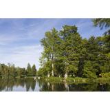 Winston Porter Lake in Castle of Chamarande - Wrapped Canvas Photograph Canvas | 8 H x 12 W x 1.25 D in | Wayfair 81AE62BF1EA84716AC24DC220CC9FE38