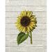 One Allium Way® Sunflower Print 2 Poster Print By Ann Bailey (24 X 36) # BARC061B Paper in Gray/Green/Yellow | 36 H x 24 W in | Wayfair