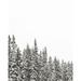 Millwood Pines Gold Lake Trees Poster Print By Laura Marshall (18 X 24) 59695 Paper in Gray/White | 24 H x 18 W in | Wayfair