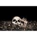 Trinx Lightpainted Skull - Wrapped Canvas Photograph Canvas | 12 H x 18 W x 1.25 D in | Wayfair 3E4590BC575B4293B0411E36DF9778EC