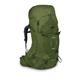 Osprey Aether 65L Rucksack - Garlic Mustard Green - Size S-M - Rucksacks