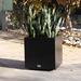 Veradek Block Series Cube Planter Plastic in Black | 22 H x 21 W x 21 D in | Wayfair CUVMEDB