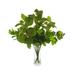 Freeport Park® Janousek 25" Artificial Ficus Plant in Vase Glass/Polysilk | 25 H x 24 W x 24 D in | Wayfair A89A3719443042AB89C44865A31749C5