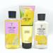 Bath & Body Works Lemon Drop Martini 8oz Body Cream 8oz Body Lotion and 10oz Shower Gel 3-Piece Bundle