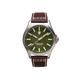 ProTek Titanium Field Watch Titanium Case/Green Dial/Dark Brown Strap One Size PT3005