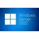 Microsoft Windows Remote Desktop Services 2022 - License - 1 User
