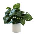 Artificial Fern Potted Plants Fake Boston Fern Greenery Foliage Perfect for Home Office Decor