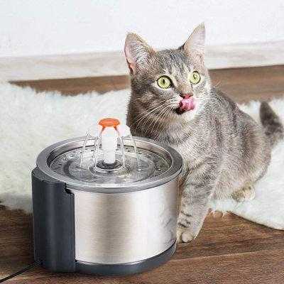 iPettie Stainless Steel Automatic Water Dish w/ Led Light & Filter Metal/Stainless Steel (easy to clean) in Gray, Size 4.72 H x 7.87 W x 7.82 D in