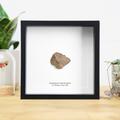 Chondrite Meteor | 4.5 Billion Years Old Museum Quality Frame/Authentic Meteorite Meteor Meteorites Natural History Design