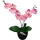 Hommoo - Artificial Orchid Plant with Pot 30 cm Pink VD10529