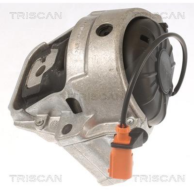 Triscan Lagerung, Motor [Hersteller-Nr. 850529178] für Audi, Porsche Image