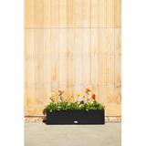 Veradek Block Series Window Box Planter Plastic in Black | 9 H x 36 W x 9 D in | Wayfair TRHV36B