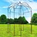 iYofe Birdcage Shape Heavy Duty Gazebo, Iron Garden Arbors, Wedding Ceremony Climbing Plant Outdoor Iron/Metal in Black/Gray | Wayfair