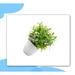 Primrue 9.4" Artificial Eucalyptus Topiary in Pot Plastic | 9.4 H x 3.7 W x 3.7 D in | Wayfair B40411C27DFD48F1B831AAC23E4D77F9