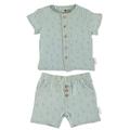 Sterntaler Baby Jungen Set Shirt mit kurzer Hose Set Hemd und kurze Hose Palme - Baby Shorts Shirt Set - aus Baumwolle - mittelgrün, 80