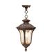 1 Light Outdoor Pendant Lantern in Traditional Style 9.5 inches Wide By 17.5 inches High Bailey Street Home 218-Bel-732516