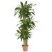 5' Artificial Corn Stalk Dracaena Silk Plant with Decorative Pot