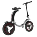 Portable 14 inch electric folding bike