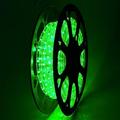 DELight 50Ft Rope Light 540 LED Waterproof String Lighting Outdoor Flexible 2 Wire for Tree Landscape Garden Patio Gazebo Decoration Green