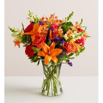 1-800-Flowers Everyday Gift Delivery Vibrant Floral Medley Xl