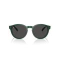 Polo Ralph Lauren PH 4192 (608487) Sunglasses