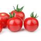 Tomato Plants - 'Tumbling Tom Red' - 6 x Full Plants in 9cm Pots - Garden Ready + Ready to Plant - Premium Quality Plants