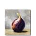 Darren Gygi Home Collection Fig Giclee by Darren Gygi - Wrapped Canvas Painting Canvas in White | 36 H x 36 W x 1 D in | Wayfair 275-B-3636