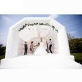 Free ship to door Outdoor Inflatable wedding Bouncer house Kids Adults jumping castle jump bouncy for birthday party