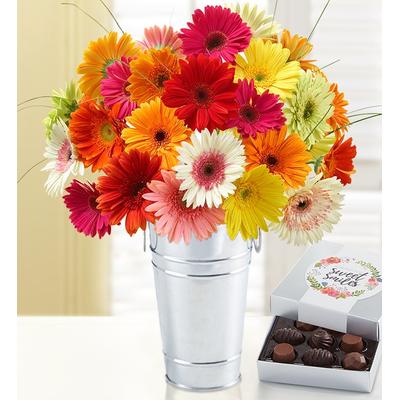 1-800-Flowers Flower Delivery Happy Gerbera Daisies 12-24 Stems, 24 Stems W/ French Flower Pail & Chocolate