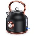 NESSGRAIM Retro Electric Kettle 1.7L, Stainless Steel Tea Kettle with Large Temperature Gauge, Fast Boiling Hot Water Boiler with LED Light, Fast Boiling, Auto Shut off Kettle for Coffee, Tea, Cocoas