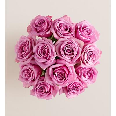 1-800-Flowers Flower Delivery Passion For Purple Roses 12 Stems, Bouquet Only