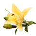 SANWOOD Artificial Lily Flower 3 Heads Artificial Fake Lily Flowers Bouquet Home Garden Party Wedding Decors