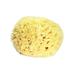 Sea Wool Sponge 3.0-3.5 (Large) by Bath & Shower Express Natural Renewable Resource!Creating the in Perfect Bath and Shower Experience