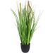 Northlight Seasonal 24" Artificial Onion Grass Tree Plastic | 24 H x 10 W x 10 D in | Wayfair NORTHLIGHT SM94612