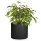 Fox & Fern Plant Pot, Large Plant Pots for Indoor & Outdoor, UV & Frost Resistant Plant Vase with Drainage Plug, Fiberstone, Large Indoor Pots for Plants & Flowers, House Indoor Plant Pot, Single Pot